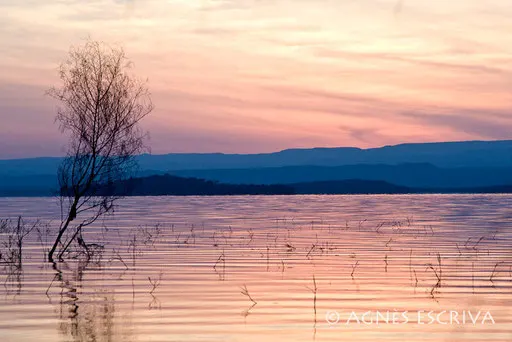 Aurore sur le lac Baringo
