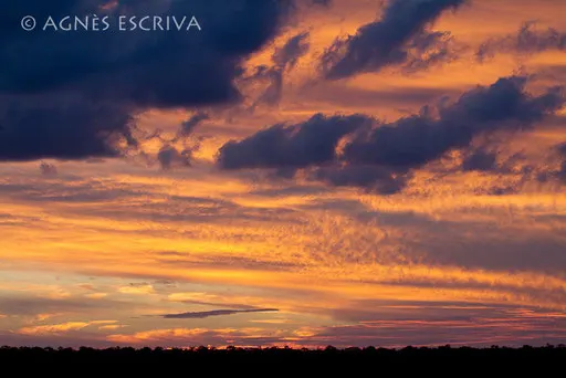 Ciel d'Afrique du Sud