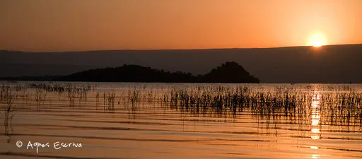 Aube sur Baringo