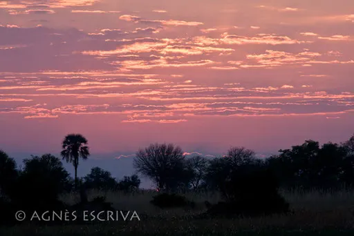 Crépuscule sur Kwando