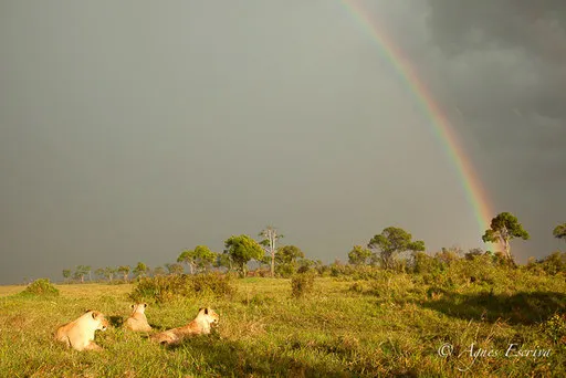 Orage et arc-en-ciel sur Bilashaka