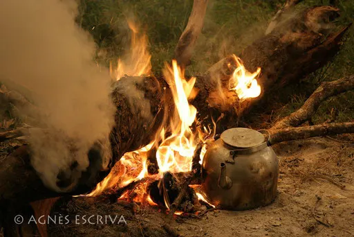 Feu de camp