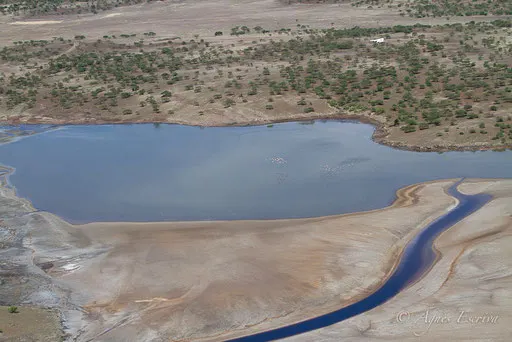 Lac Magadi