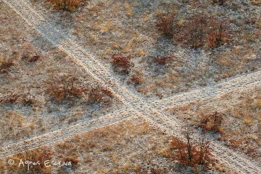 A la croisée des pistes
