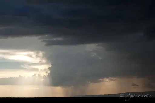 Pluie et orage