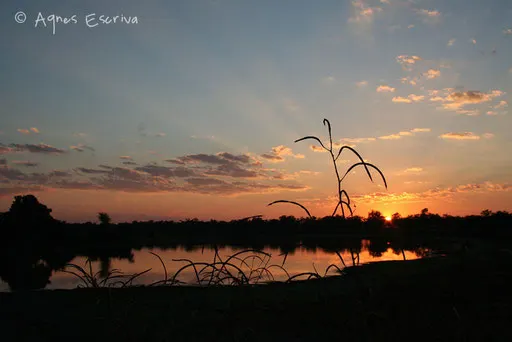 La rivière Luangwa