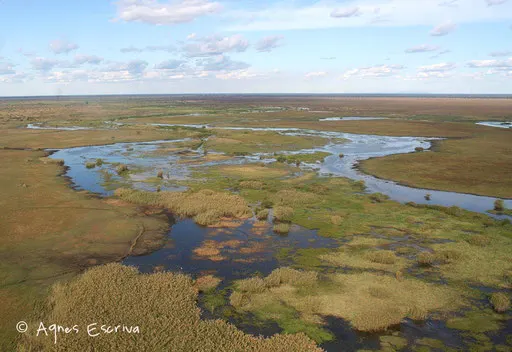 Le marais de Bangweulu
