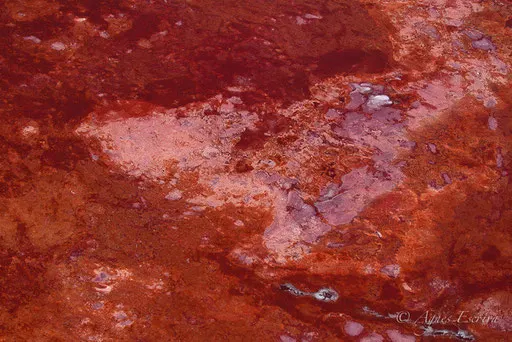 Lac Magadi