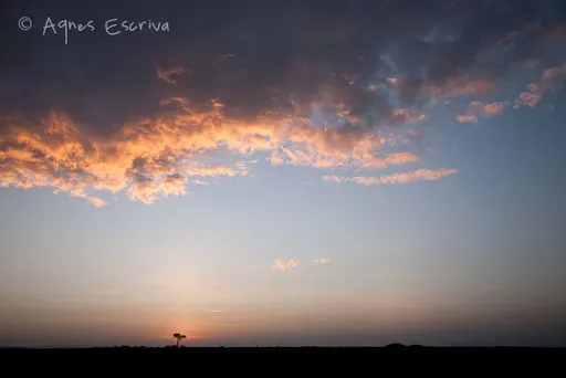 Le soleil se lève sur Musiara