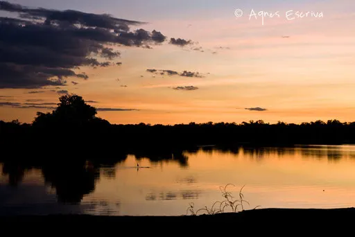 La rivière Luangwa au coucher du soleil
