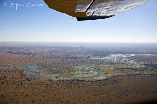 Survol du marais de Bangweulu