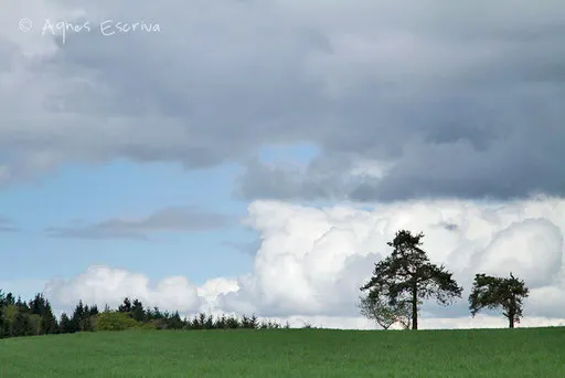 Printemps 2011