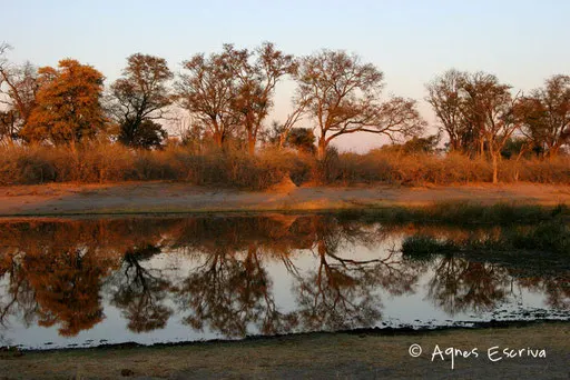 Kwaï au coucher de soleil
