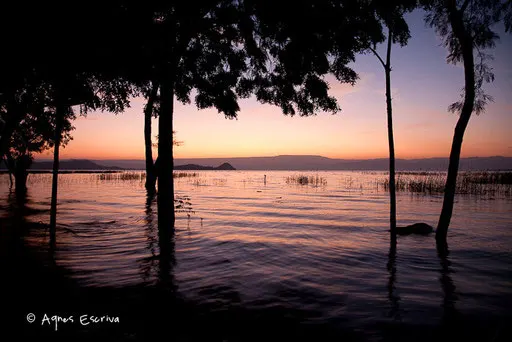 Patit matin sur Baringo