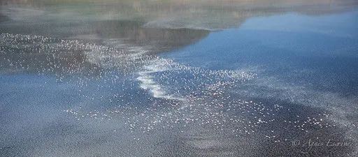 Lac Natron