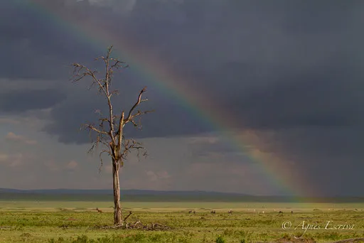 Orage et arc en ciel