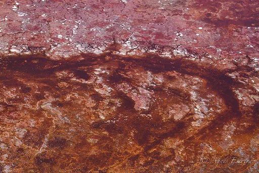 Lac Magadi