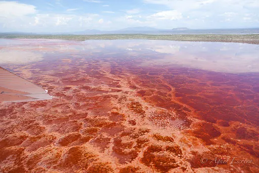 Lac Magadi