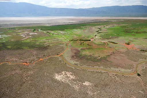Rivière Ewaso Ngiro