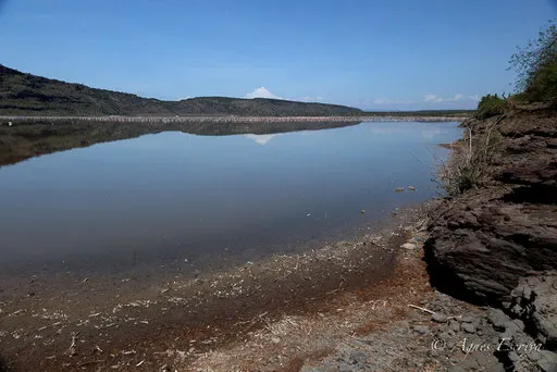 Lac Magadi