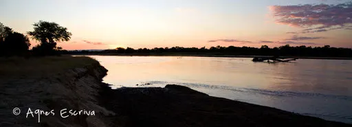 Luangwa river