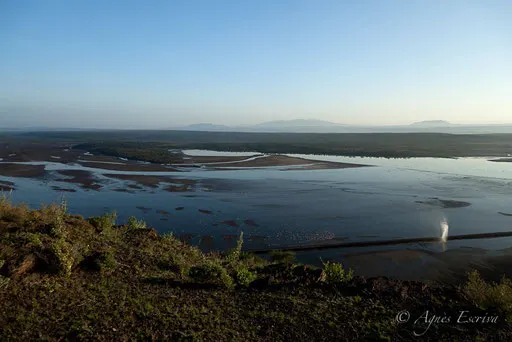 Lac Magadi