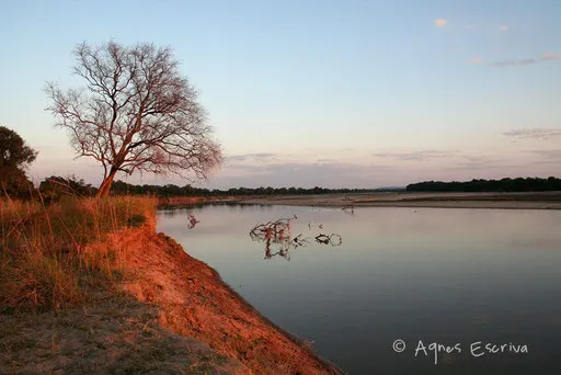 La rivière Luangwa