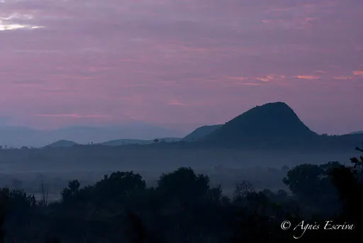 Lever de soleil sur Soysambu - Nakuru 