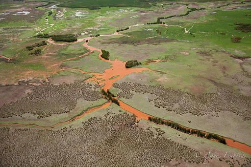 Rivière Ewaso Ngiro