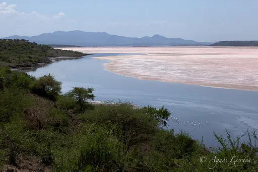 Lac Magadi