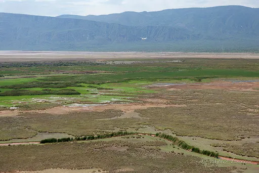 Marais près du lac Natron