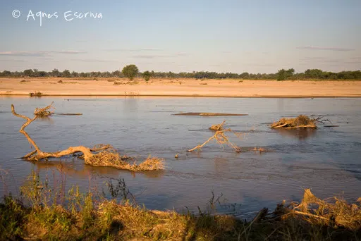 La rivière Luangwa