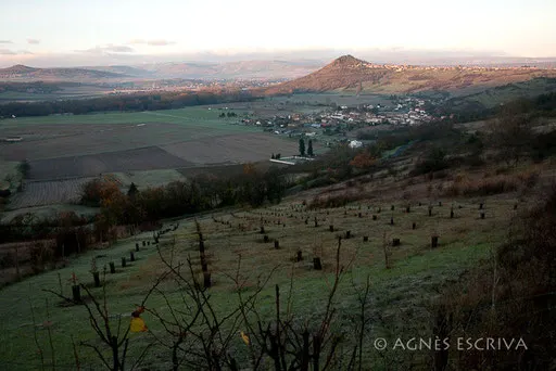 Nonette - automne 2010