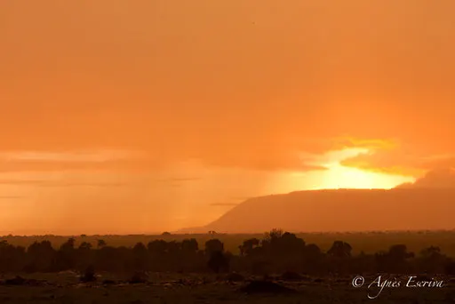 Pluie au coucher de soleil