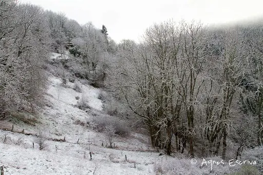 Hiver 2009/2010