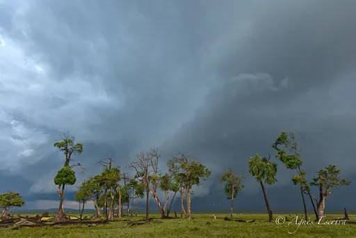Orage sur le marais