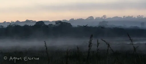 Lever du jour sur Kasanka