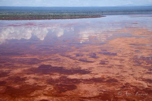 Lac Magadi