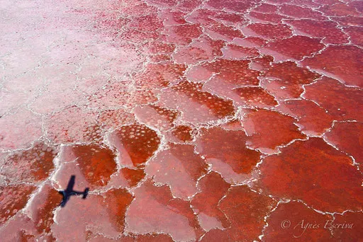 Lac Magadi