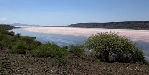 Lac Magadi
