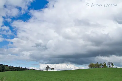 Printemps 2011