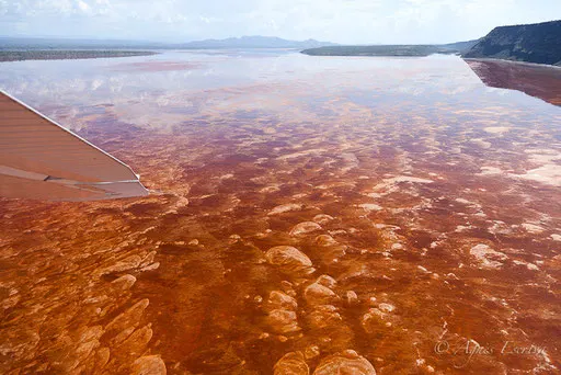 Lac Magadi