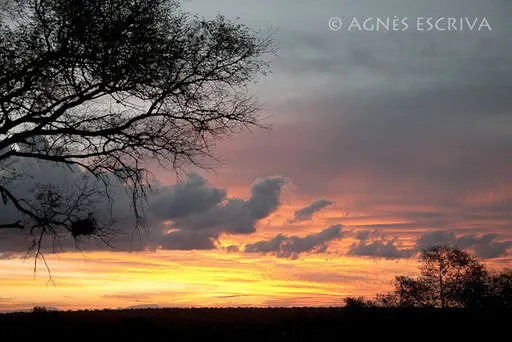 Coucher du soleil