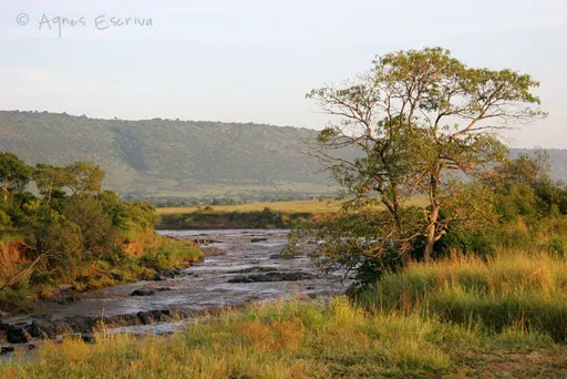 La rivière Mara le matin