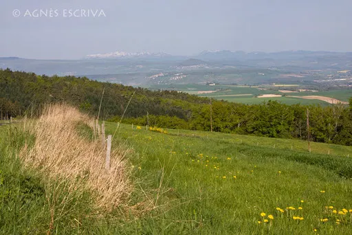 Sur la route d'Issoire au printemps