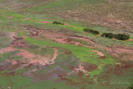 Marais, Shompole Group Ranch