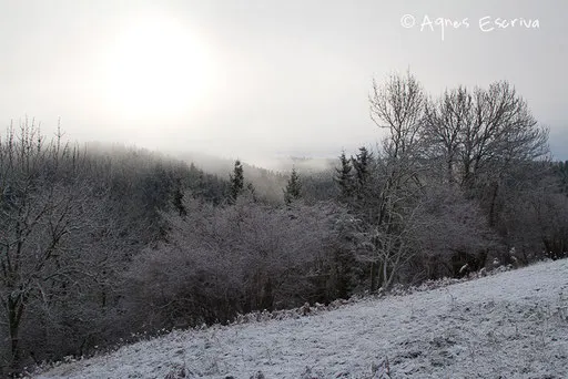 Hiver 2009/2010