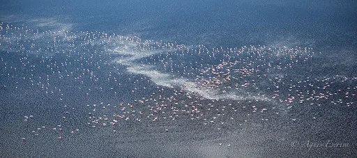 Lac Natron