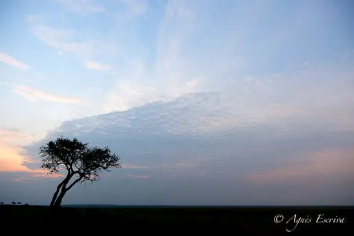 Crépuscule