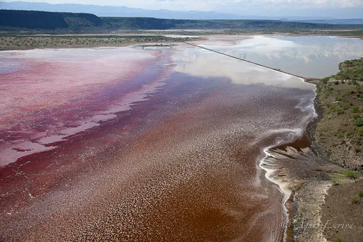 Lac Magadi